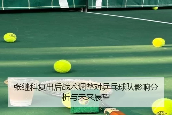 张继科复出后战术调整对乒乓球队影响分析与未来展望